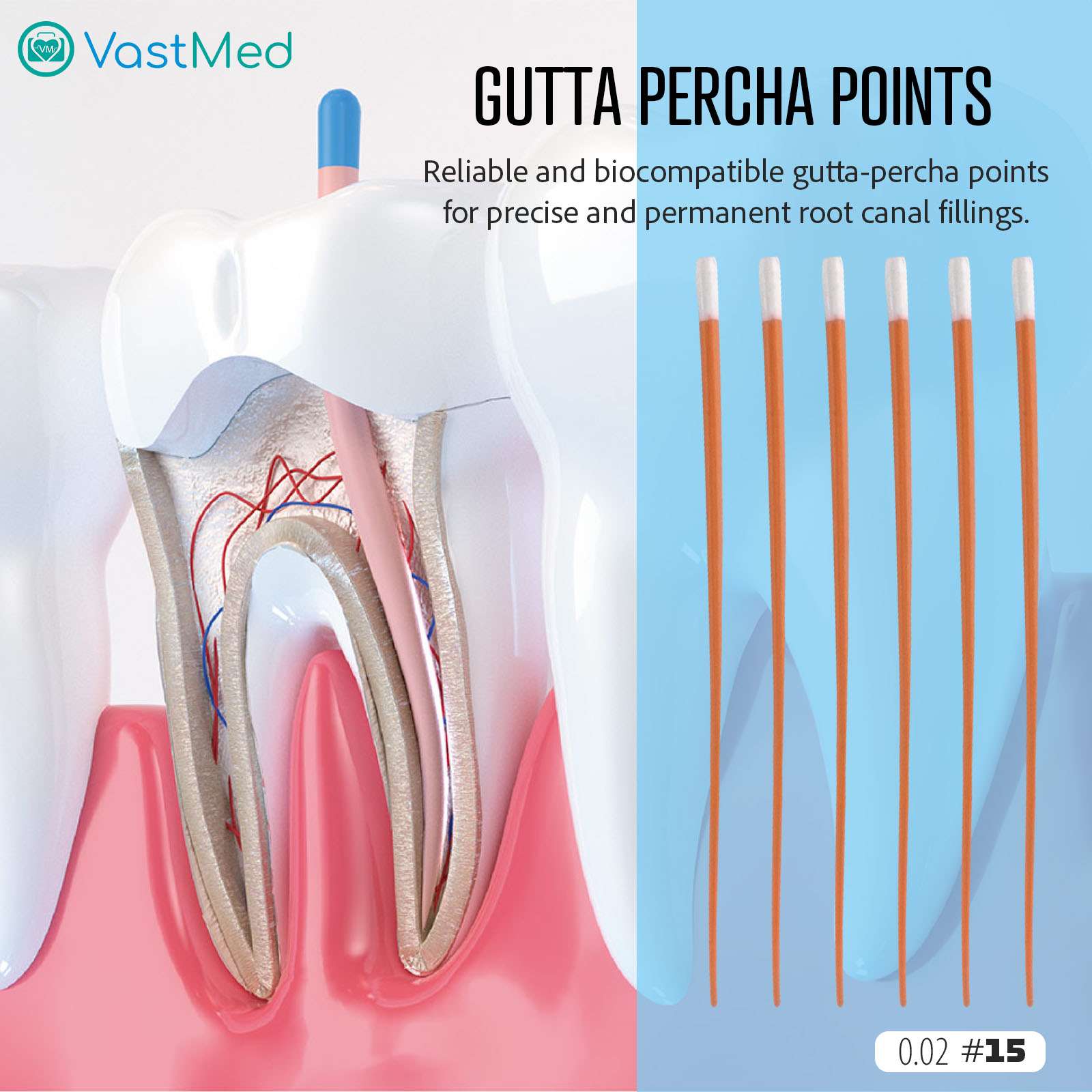 Dental Gutta Percha Points by Vastmed | Dental Endodontic Special Taper - Image 5