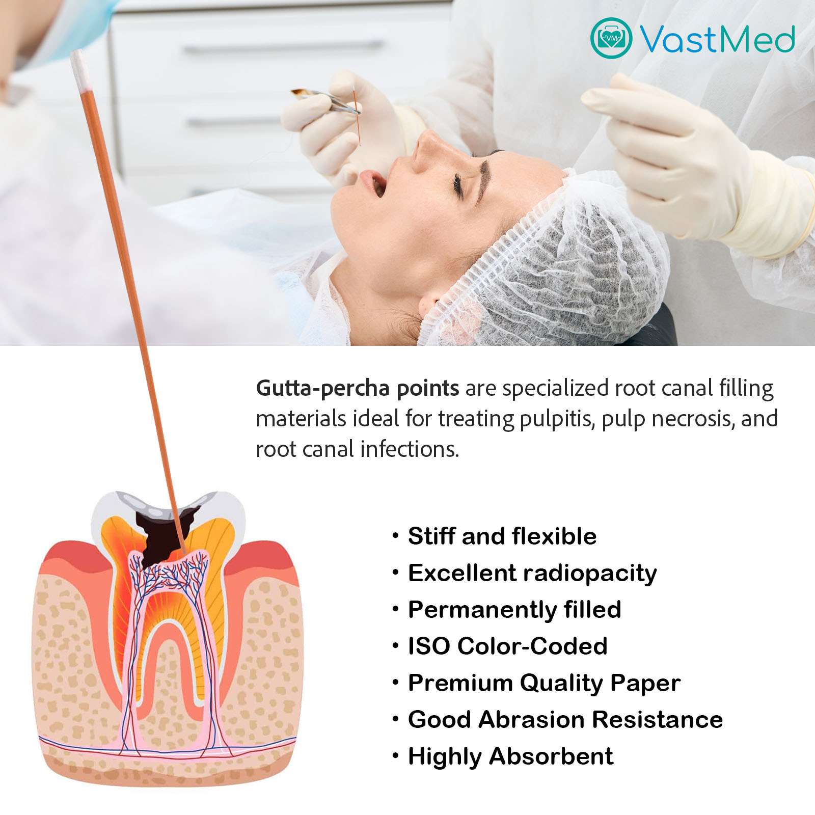 Dental Gutta Percha Points by Vastmed | Dental Endodontic Special Taper - Image 6