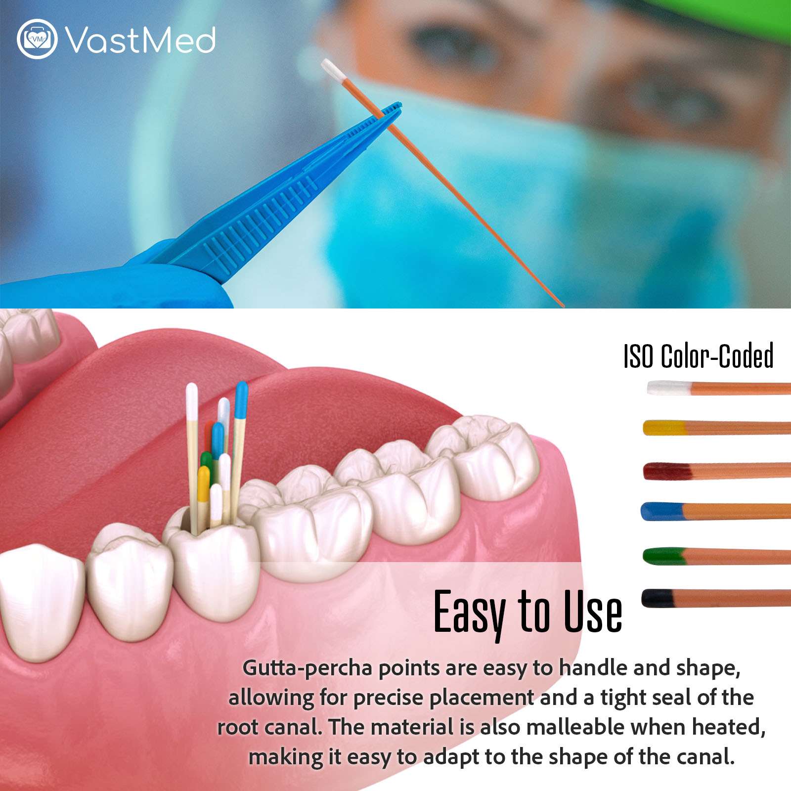 Dental Gutta Percha Points by Vastmed | Dental Endodontic Special Taper - Image 7